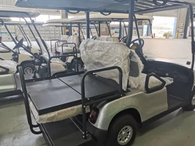 2 Asiento / 4 Asiento Carrito de Golf Inteligente Eléctrico Legal para la Calle Vehículos Garantía Completa