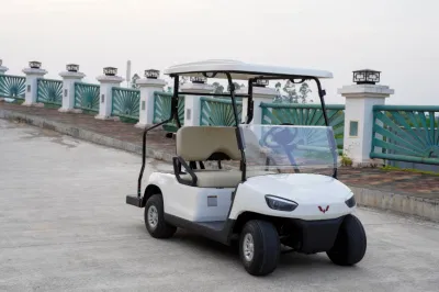 Electric 4X4 2 Plazas la caza de carros de golf 48V 5000W con certificado CE Coche+eléctrico+Golf