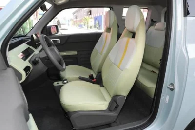 Chin 2023 coches eléctricos pequeños coches baratos Fabricante Venta directa Nuevo vehículo eléctrico de Energía para Geely Panda Mini