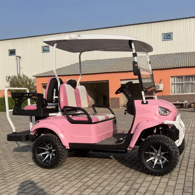 Banpo estacionamiento automático 2+2 asientos Paneles solares off Road Electric Carrito de Golf