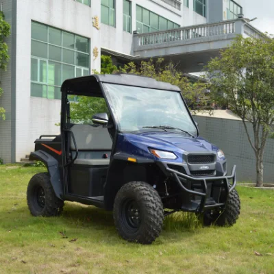 48V 5kw alimentados por batería 2 vidéteres RWD vehículo eléctrico de servicio Con cargo Box
