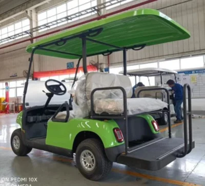 2 Asiento / 4 Asiento Carrito de Golf Inteligente Eléctrico Legal para la Calle Vehículos Garantía Completa