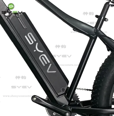 China de fábrica Shenyun Top Venta de aleación de aluminio de alta velocidad de 26&quot; de los neumáticos de la grasa bicicleta eléctrica para la Juventud
