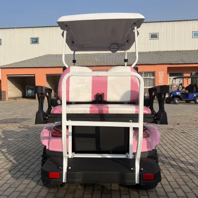 Banpo estacionamiento automático 2+2 asientos Paneles solares off Road Electric Carrito de Golf
