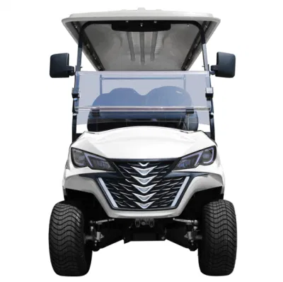 Batería de Litio de alto rendimiento forjar G6+2 Carrito de golf eléctrico personalizada cochecito de golf