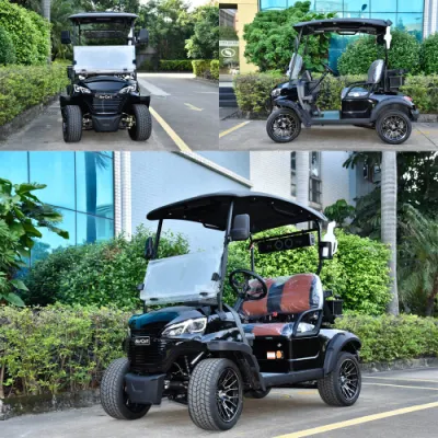 4 rueda de litio Golf vehículo eléctrico de ATV UTV LSV