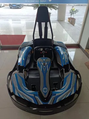 Cool adulto Karting Motor Cubo de 3000W Carrito de go karts carrera eléctrica