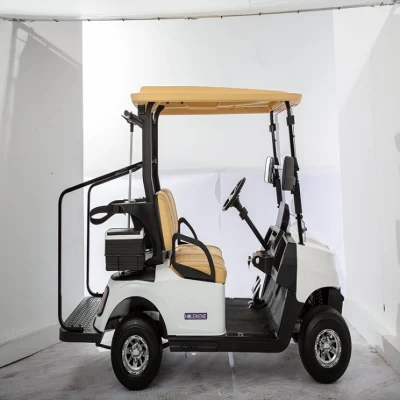 Carrito eléctrico de Golf para 2 pasajeros