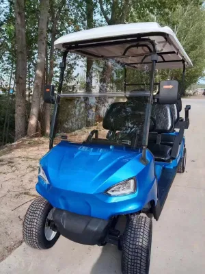 80-110km Super silencio rueda ancha de vacío eléctrica del asiento 4 Carro de Golf cochecito de golf