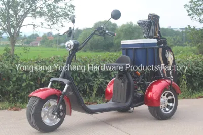 OEM hecho personalizado eléctrico carrito de golf Scooter Mini carrito de golf