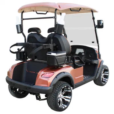 Nuevo Arriveal estilo D para socio exclusivo Nuevo diseño Wh2022K Fábrica 2 asientos de autobús turístico carrito eléctrico Golf Buggy Coche de caza