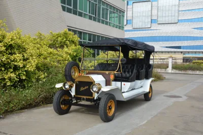 Club bonito coche accionado por batería eléctrica de carros de golf Golf Buggy coche clásico con la certificación CE