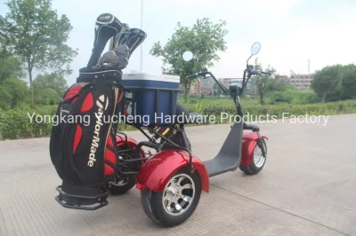 OEM hecho personalizado eléctrico carrito de golf Scooter Mini carrito de golf