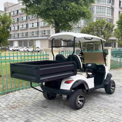 Mejor venta de kart eléctrico, primera Marca OEM Club Carro de Golf con caja Precio asequible