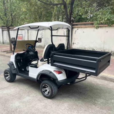 Mejor venta de kart eléctrico, primera Marca OEM Club Carro de Golf con caja Precio asequible