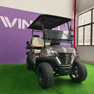 2023 New Design Street Legal Elevado eléctrico 2+2 seater Golf Carro