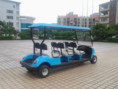 Venta Directa de Fábrica Ce Colores personalizados coches turísticos vehículo Golf