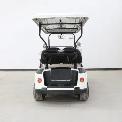 Mayorista de alta calidad de coches turísticos punto panorámico autobús turístico Carro de golf Para 4 personas