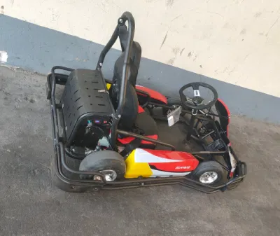 La mejor calidad de 2000W Mini kart pedal eléctrico adulto Mini kart para la venta