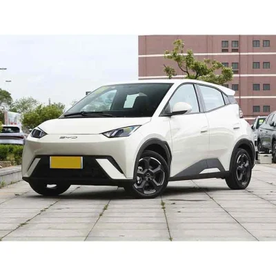 BYD Seagull sea Gull coche moderno vehículo eléctrico de nueva energía Comprar coche Nuevo Energía Eléctrica para vehículos eléctricos para vehículos eléctricos para vehículos eléctricos en Venta