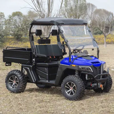 2024 Nuevo 2 asientos 4 asientos fuera de carretera 4X4 gasolina UTV eléctrico Buggy Kart Granja de vehículos utilitarios