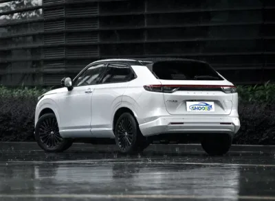 El mejor vendedor usó Honda Ens1 puro vehículo eléctrico de la batería con Diseño moderno