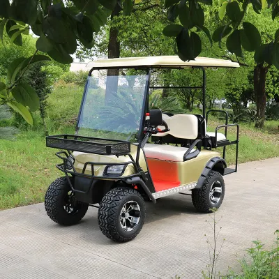 Asiento de patrón de color azul muy potente de 72V de litio Sistema AC 4 6 Plazas levantado motorizada Utilidad eléctrica fuera de carretera coche cochecito de golf
