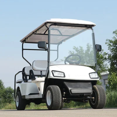 Champagne 4 + 2 asientos pasajeros de diferentes colores de Seguridad turística Coche Caza eléctrico Golf Cart/Buggy Precio con batería de plomo ácido y. Batería de litio