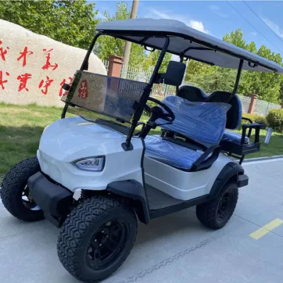 4+4 Road off Wheels cerrado Lithium Golf Cart han Ready Mercancías 6 plazas carrito de golf