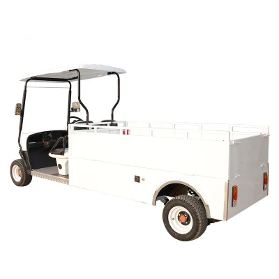 Chino Mayoreo Golf Fabricantes 4 2 seater Go Kart Venta de carritos de golf Vintage