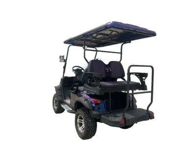 Carro de buggy de golf eléctrico Custom 2 Seat Mini On Road Con panel de control de pantalla grande