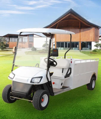 Chino Mayoreo Golf Fabricantes 4 2 seater Go Kart Venta de carritos de golf Vintage