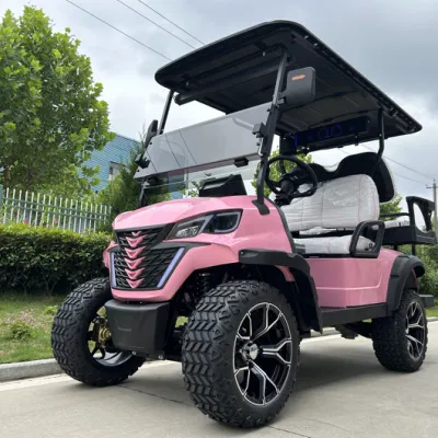 China Fabricación Eléctrica Mini Golf Cart Factory Ventas directas Caza Carro Cartgolf