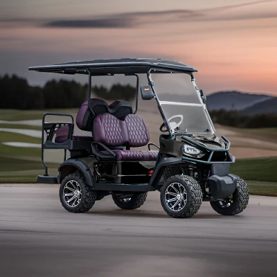 OEM ODM LSV ATV Deporte Turísticos Clásico 4 Rueda batería eléctrica coche de club pequeño Mini eléctrico Golf Buggy Precio de coche 4 plazas en venta