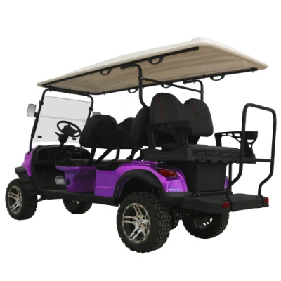 Carrito de Golf tienen artículos listos 4 Wheel Cheap Drive Golf Carro para la venta
