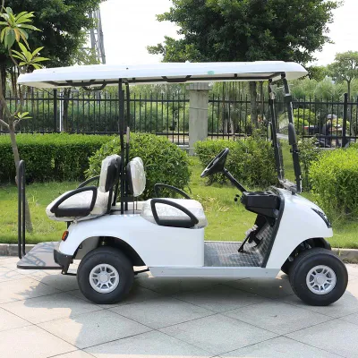 Buen servicio Post-Venta 4 plazas de carros de golf eléctrico (DG-C2+2)