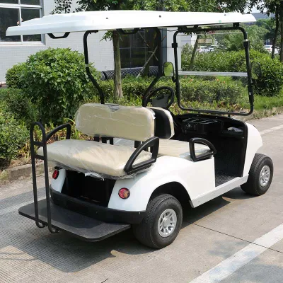 Buen servicio Post-Venta 4 plazas de carros de golf eléctrico (DG-C2+2)