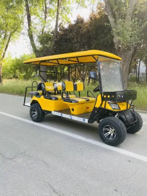Carrito de Golf eléctrico de 6 8 10 asientos con espacio de almacenamiento
