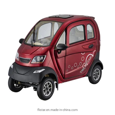 1200W 2 asientos FSC-Lt coche eléctrico para los pasajeros de transporte eléctrico y el scooter de movilidad eléctrica para ancianos