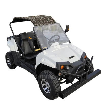 MMC batería de litio todo terreno eléctrico UTV Go-Kart coche turístico con Caja de carga