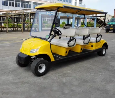 Venta Directa de Fábrica Ce Colores personalizados coches turísticos vehículo Golf