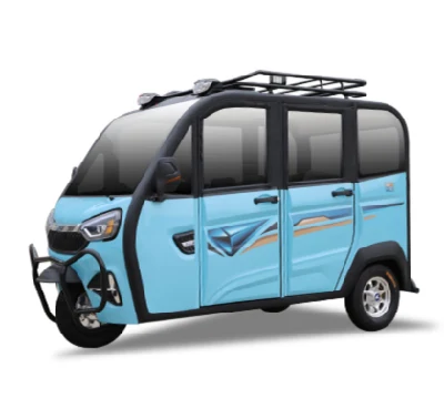 Triciclo eléctrico para adultos de bajo costo: Nuevo vehículo de energía personalizado de China