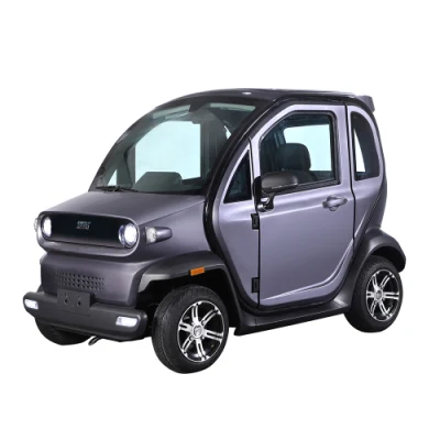 Mayorista Luqi Nueva mano izquierda Drive Street Legal Mini eléctrico Coches para adultos