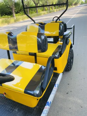 Carrito de Golf eléctrico de 6 8 10 asientos con espacio de almacenamiento