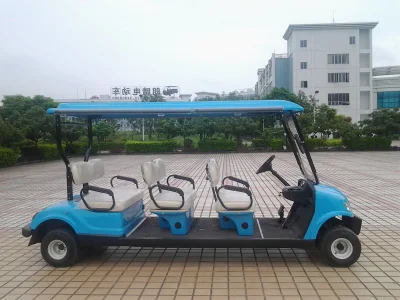Venta Directa de Fábrica Ce Colores personalizados coches turísticos vehículo Golf