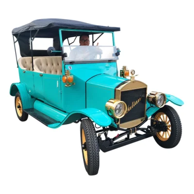 Nuevo Club clásico coche turístico barrio Vehículo Eléctrico Lsv/Nev