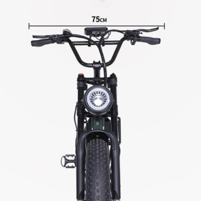 48V 2000W Motor delantero y trasero vehículo eléctrico de doble tracción Con cesta Retro fuera de carretera Fat Tire eléctrico asistir bicicleta con 18,2ah batería