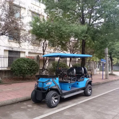 6 persona de lujo Buggy Hunter Sport Street Legal Electric Tourist Carrito de Golf