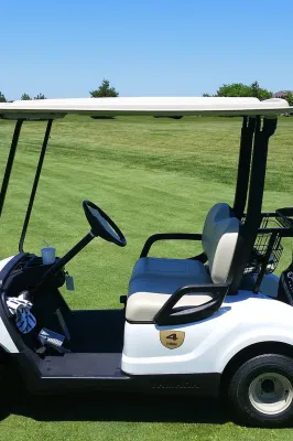 China hizo accionado por batería 2 4 6 plazas de carros de golf clásico con grandes espacios portaobjetos