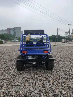 Suyang 150cc Mini Buggy Willys/Rover UTV ATV de nuevo diseño de Venta caliente